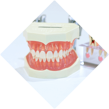歯科口腔外科について